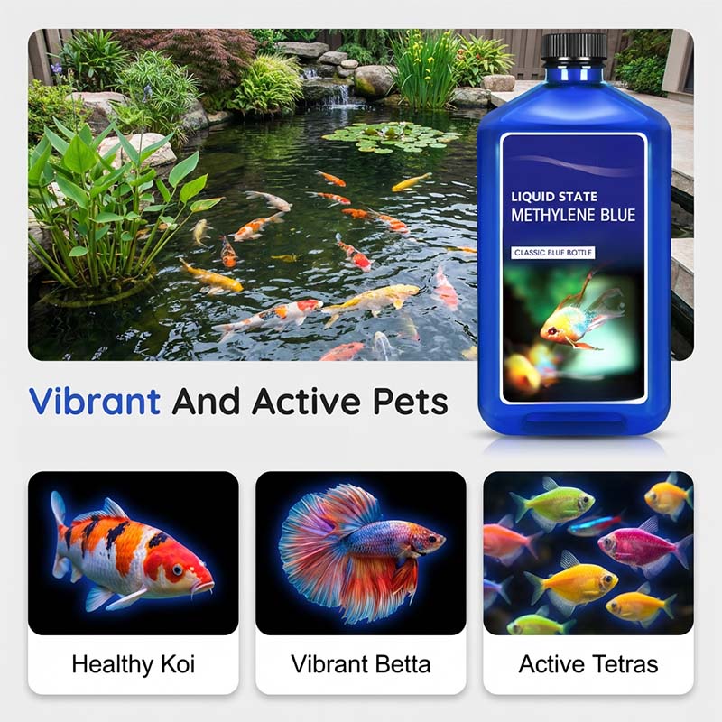 🔥HOT SALE 50%OFF🔥Professional Koi Fish Water Conditioner & Treatment
