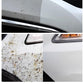 Bug Remover for Cars Exterior