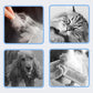 🥳 50% OFF! 🥳Efficient Pet Hair Removal Comb