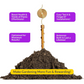 Growth-Boosting Electroculture Plant Stakes