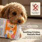 Durable Newspaper Dog Chew Toy