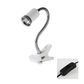 Reptile Heat Lamp for Turtles