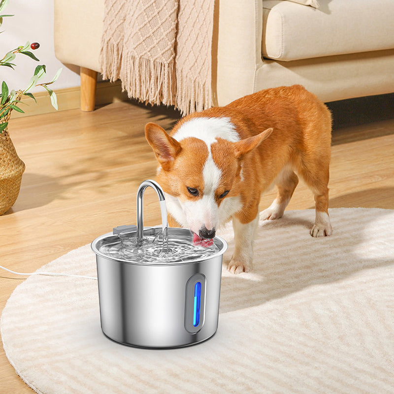 Auto-Flow Pet Water Fountain