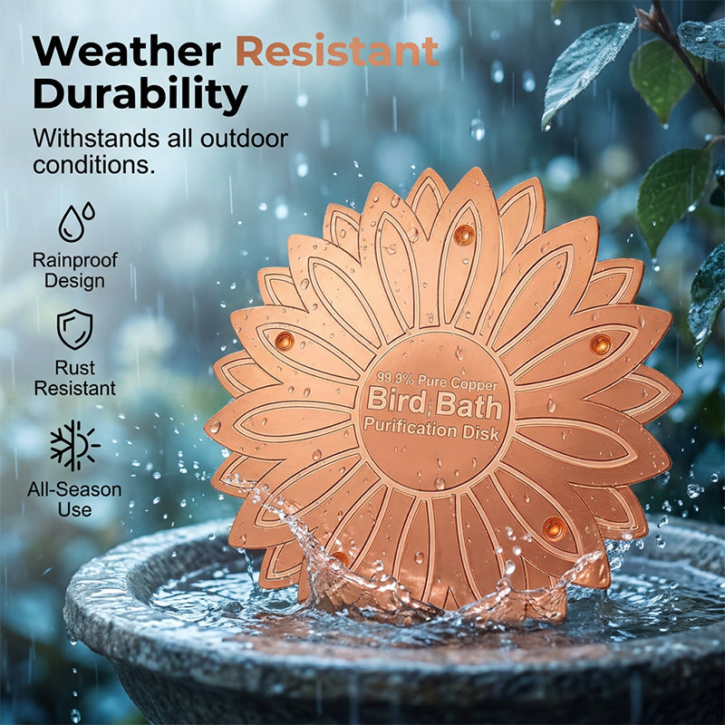 Pure Copper Bird Bath Purification Disk