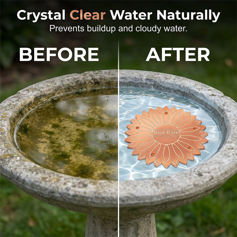 Pure Copper Bird Bath Purification Disk