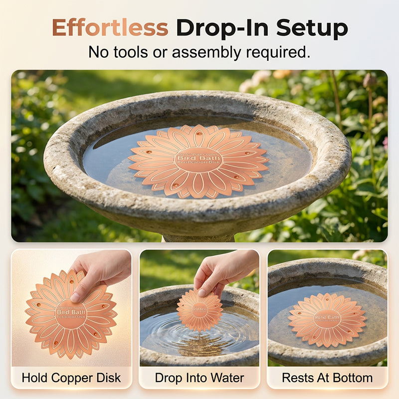 Pure Copper Bird Bath Purification Disk