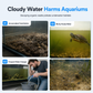 Turtle Tank Poop Collector & Aquarium Waste Cleaner